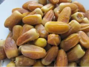 Iranian deglet noor date - mehrsa gorup