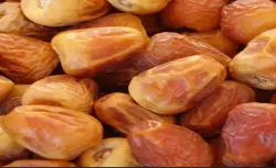 Iranian zahedi date - mehrsa gorup