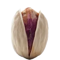 Fandoghi pistachio