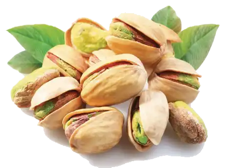 pistachio on tree