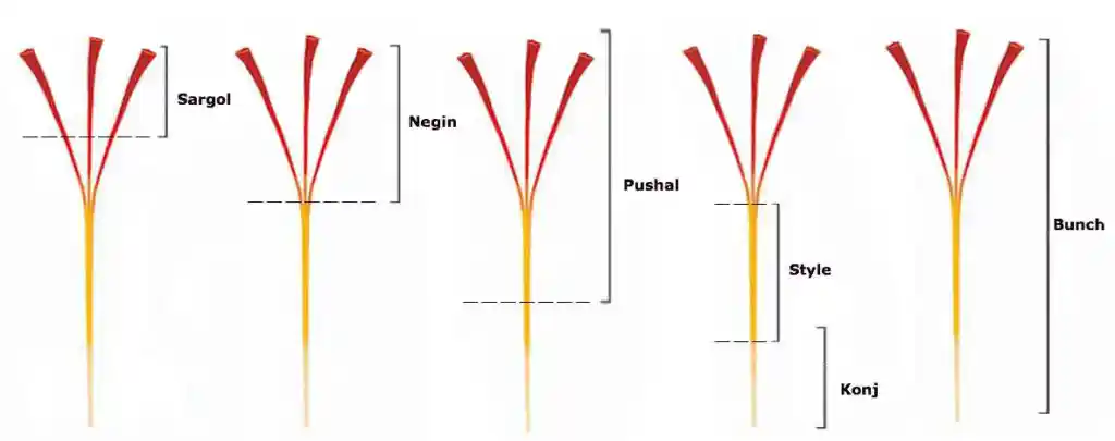 Types of Iranian Saffron